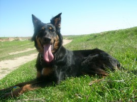 LAYKA